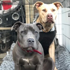 Meet your Posher, Fredy